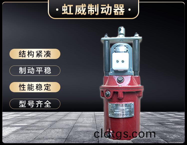 YT1係列電力液壓推動(dong)器