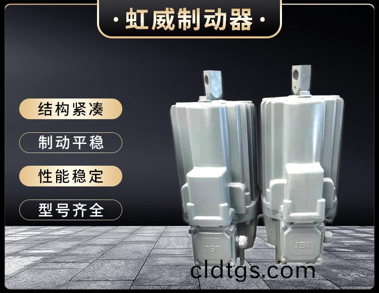 電力液壓推動器液壓站(zhan)