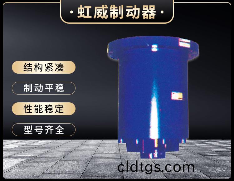 YDGZ(直動式)液(ye)壓頂軌製動器